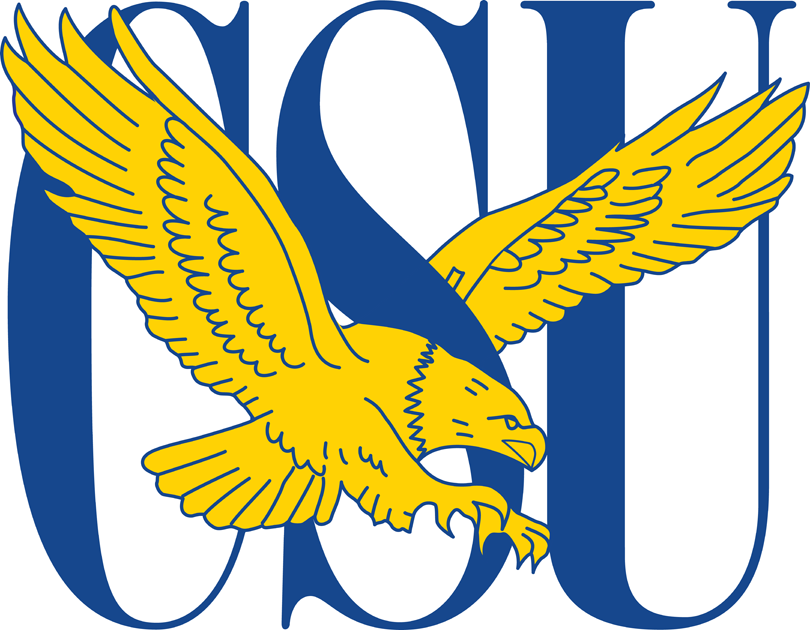 Coppin State Eagles 2004-2016 Primary Logo iron on transfers for clothing